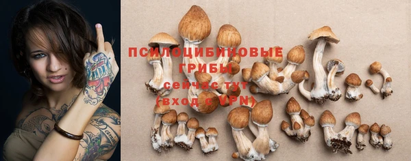 не бодяженный Волоколамск